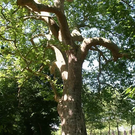 L'orangerie Hébergement de vacances Bois-Normand-près-Lyre